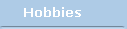 Hobbies
